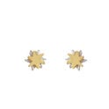 Pendientes Sirius Pendientes Sirius